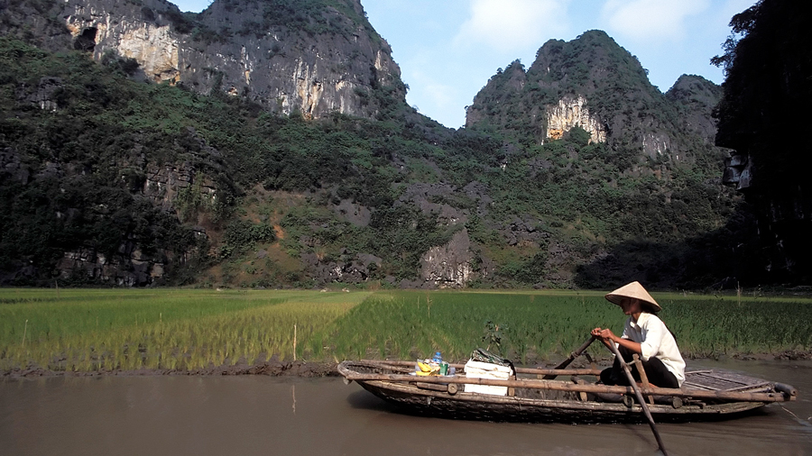 Culinary Journey through Vietnam